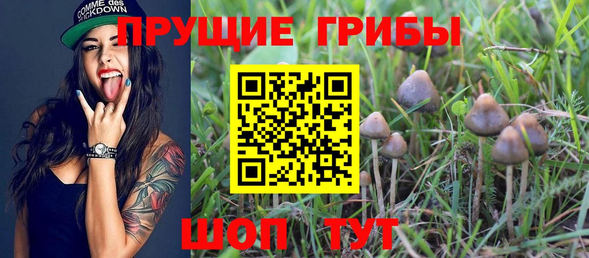 Волжск  Псилоцибиновые грибы Magic Shrooms  Вход с VPN 
