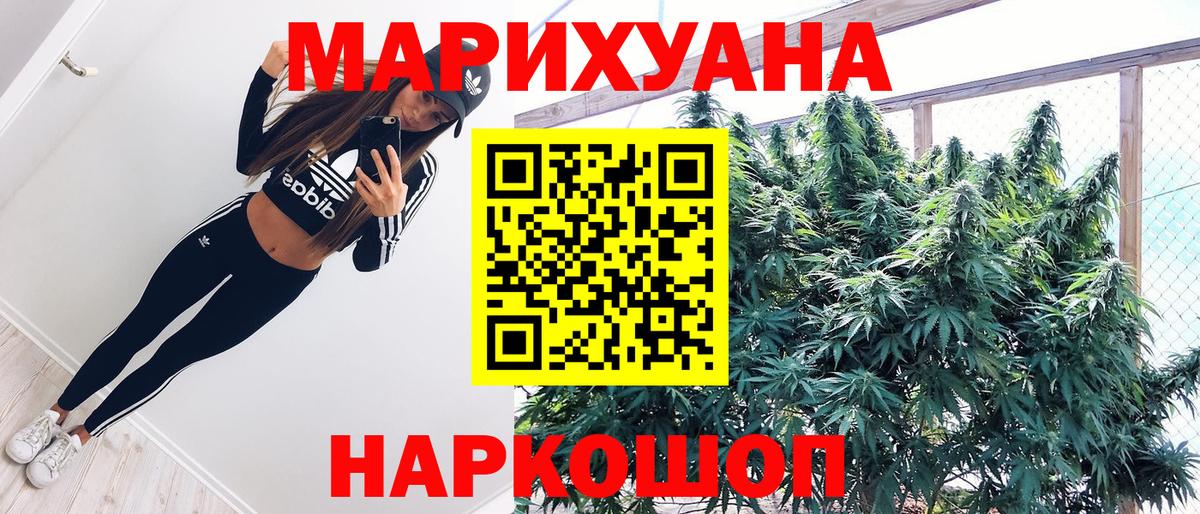 Конопля гибрид Волжск